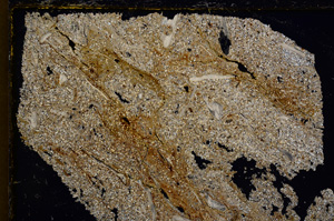 Cross Polarized, E20919