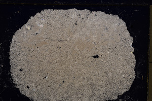 Cross Polarized, E20926