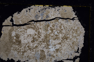 Cross Polarized, E20927