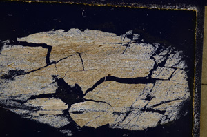 Cross Polarized, E20966