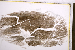 Plane Polarized, E20966