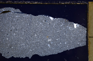 Cross Polarized, E20969