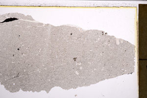 Plane Polarized, E20969