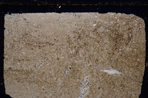 Cross Polarized, E20987
