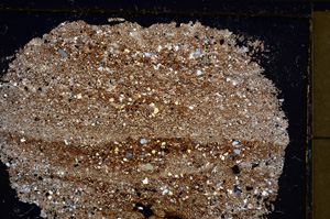 Cross Polarized, E20988