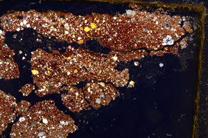 Cross Polarized, E20989