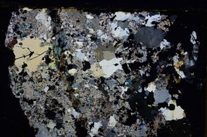Cross Polarized, E20991