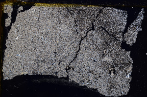 Cross Polarized, E20996