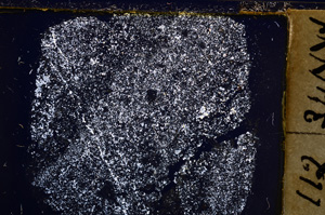 Cross Polarized, E20998