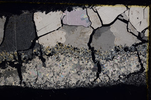 Cross Polarized, E21011