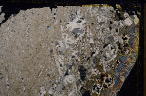 Cross Polarized, E21012