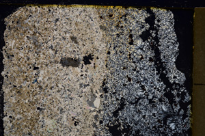 Cross Polarized, E21014