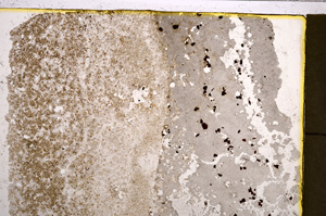 Plane Polarized, E21014