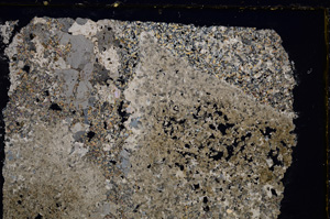 Cross Polarized, E21015