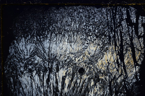 Cross Polarized, E21016