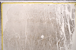 Plane Polarized, E21016