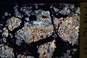 Cross Polarized, E21017