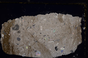 Cross Polarized, E21036