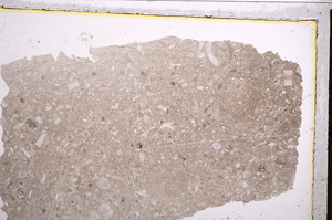 Plane Polarized, E21037