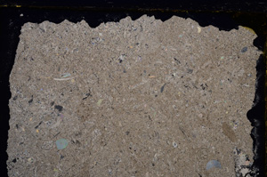 Cross Polarized, E21038