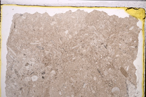 Plane Polarized, E21038