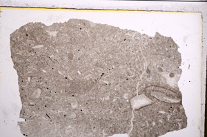 Plane Polarized, E21039