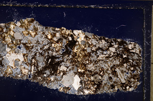 Cross Polarized, E21040