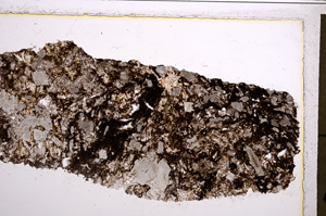 Plane Polarized, E21040