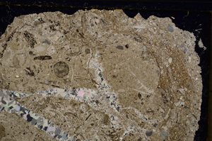 Cross Polarized, E21043