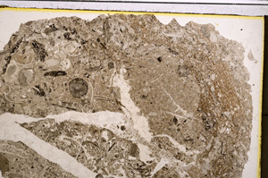 Plane Polarized, E21043