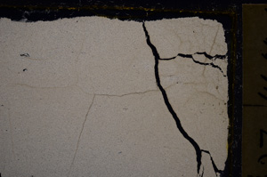 Cross Polarized, E21047