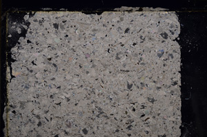 Cross Polarized, E21057