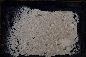 Cross Polarized, E21059