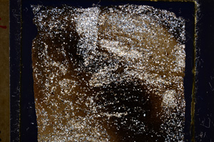 Cross Polarized, E21099