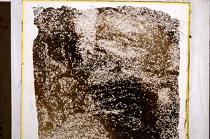 Plane Polarized, E21099