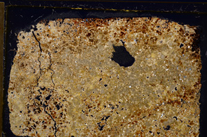Cross Polarized, E21101