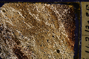 Cross Polarized, E21104