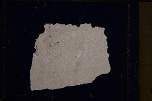 Cross Polarized, E21132