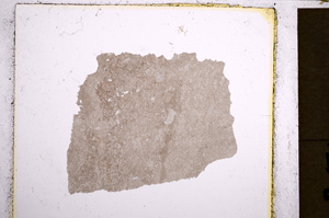 Plane Polarized, E21132