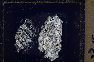 Cross Polarized, E21136