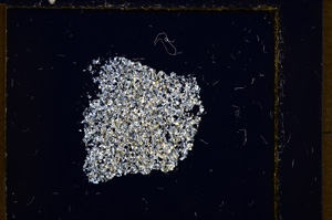 Cross Polarized, E21147