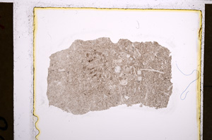 Plane Polarized, E21162