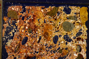 Cross Polarized, E21169