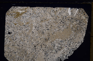 Cross Polarized, E21178