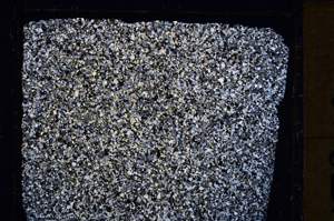 Cross Polarized, E21199