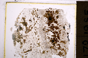Plane Polarized, E21200