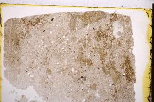 Plane Polarized, E21208