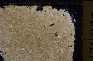 Cross Polarized, E21221