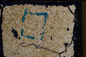 Cross Polarized, E21230