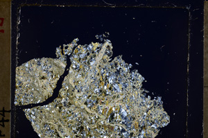 Cross Polarized, E21251